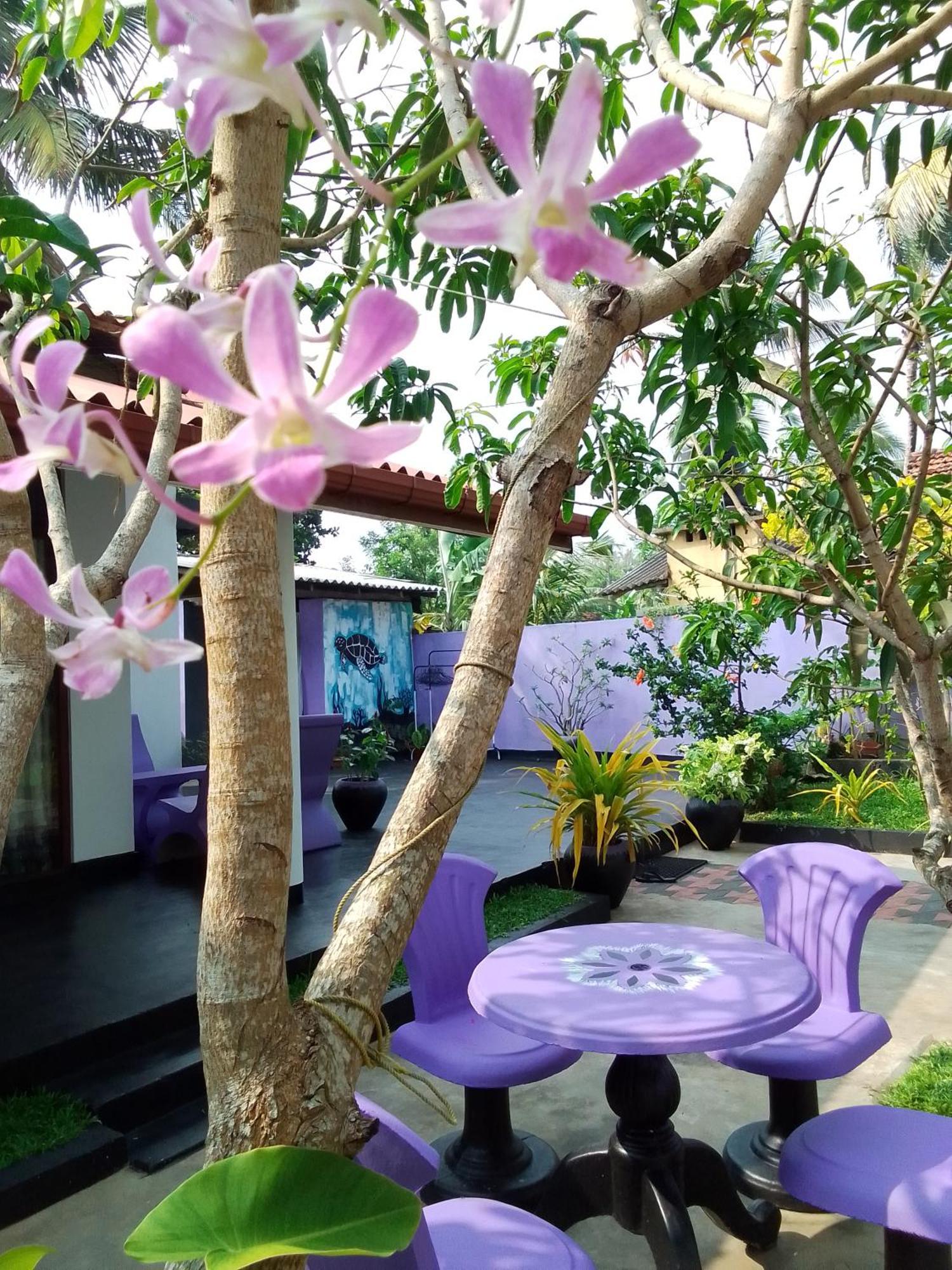 Mirissa Surf Villa Экстерьер фото